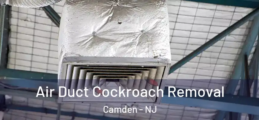  Air Duct Cockroach Removal Camden - NJ