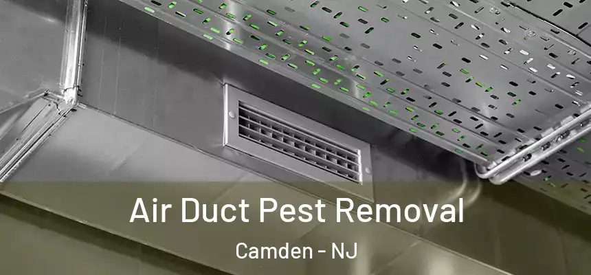  Air Duct Pest Removal Camden - NJ