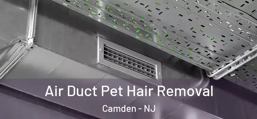  Air Duct Pet Hair Removal Camden - NJ