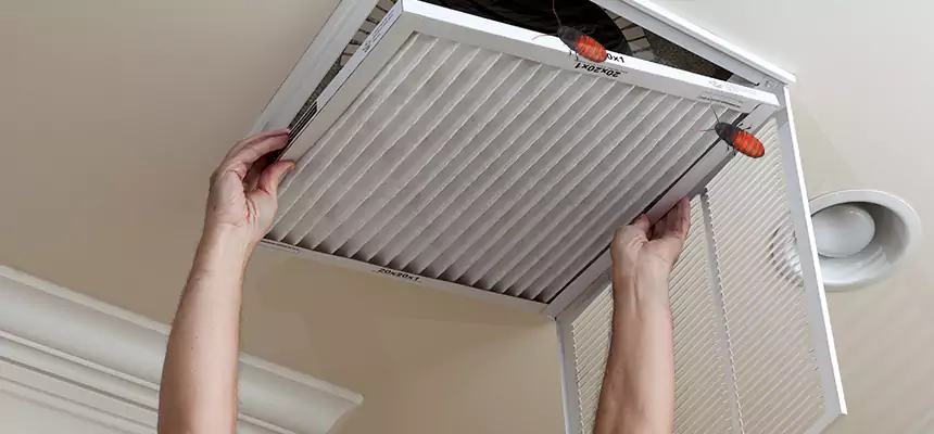 Our Insect Removal from Air Ducts Services in Camden, NJ