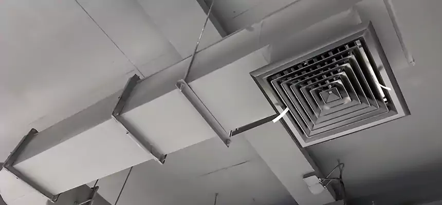 Our Pest Removal From Ducts Services in Camden, NJ