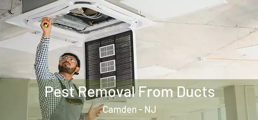  Pest Removal From Ducts Camden - NJ