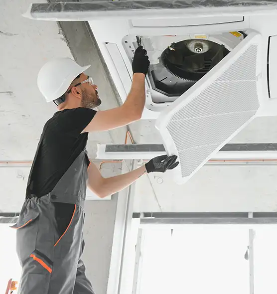 About Air Duct Rodent Removal in Camden, NJ