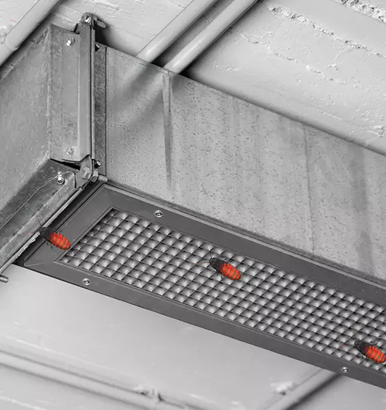 Affordable Insect Removal from Air Ducts in Camden, NJ
