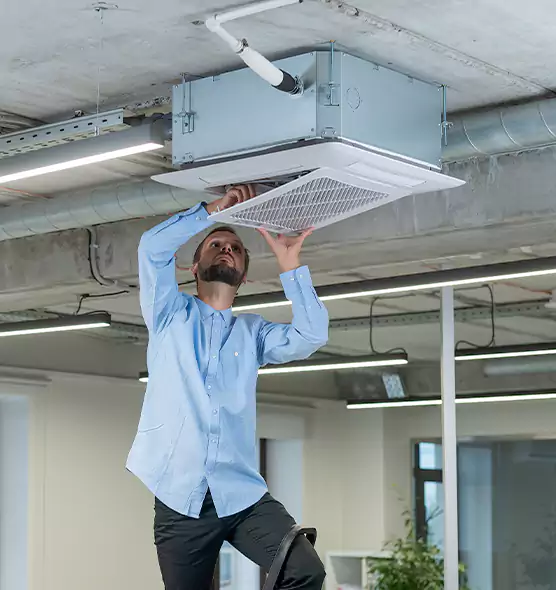Advanced Rodent Droppings In Vents in Camden, NJ