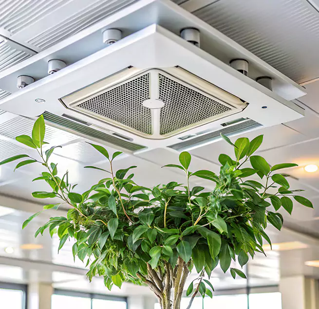 Why Homeowners & Businesses Trust Us in Camden, NJ